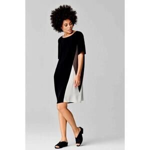 EUC EILEEN FISHER Women's Colorblock Silk Georgette Crepe Shift Dress XS